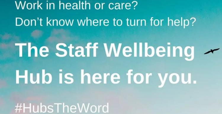 Staff Wellbeing Hub image