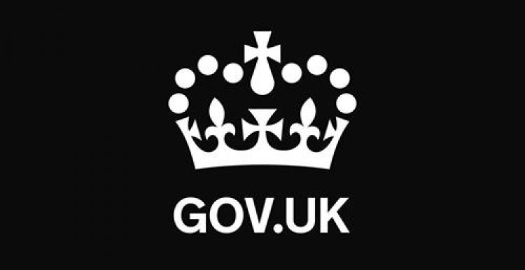 Gov.uk Logo